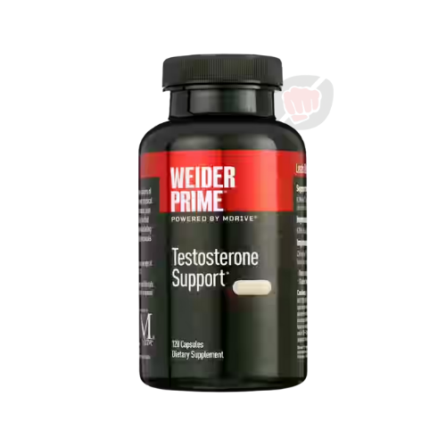 TESTOSTERONE SUPPORT - 60 CAPS