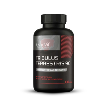 ostrovit tribulus terrestris 90 60 capsules vitalite energie tunisie