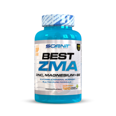 SCENIT BEST ZMA zinc magnesium vitamine B6 capsules pour récupération et sommeil sportif