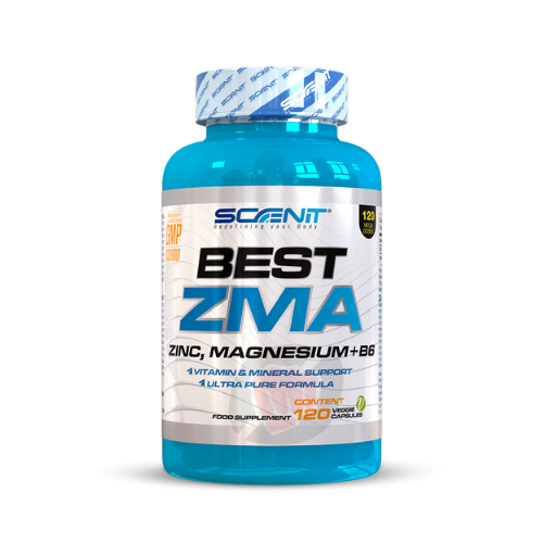 SCENIT BEST ZMA zinc magnesium vitamine B6 capsules pour récupération et sommeil sportif